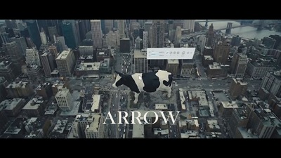 【箭头】如果世界真的是程序，你会继续当个NPC吗